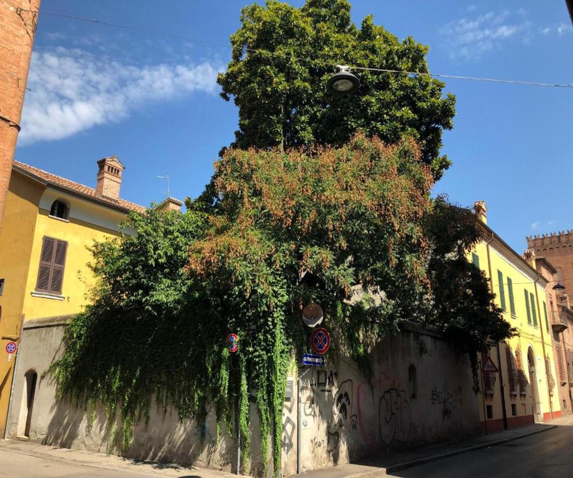Apartamento Il Giardino Segreto Ferrara Exterior foto